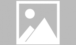 怎么下载网页上的视频